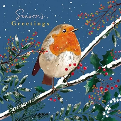 Image of the Great British Card Company Paper House Pack of 6 Artistic Charity Christmas Cards Robin Lovely Design with on a Snowy Branch Same Design, Multi, 146 x 8mm