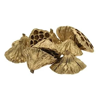 Image of Floralcraft Pack of 20 x Gold Dried Lotus Heads 6 8cm Christmas Wreaths, Garlands, Table Arrangements