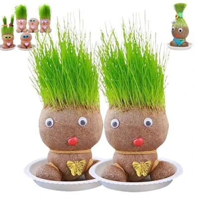 Image of 3/4Pcs Grass Head Doll Plant with Trays &amp; Spray Bottles Grow Your Own Hairy Forest Elf Kits, Growing Potted Plants Craft Creative Desktop (2pcs)