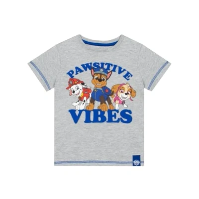 Image of Paw Patrol Tshirt Marshall and Chase Boys’ T Shirts Cotton Grey for Kids 18 24 Months
