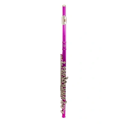 Image of Elkhart 100FL Flute, Pink