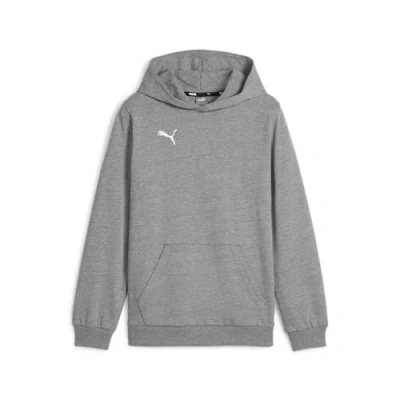 Image of PUMA teamGOAL Casuals Hoody Jr