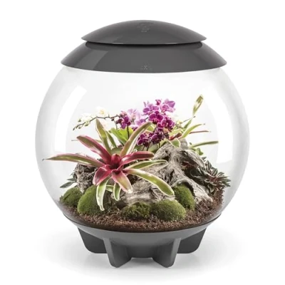 Image of BiOrbAIR 60 Litre Automatic Terrarium in White with LED Lighting