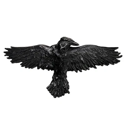 Image of Alchemy Black Raven Hair Clip