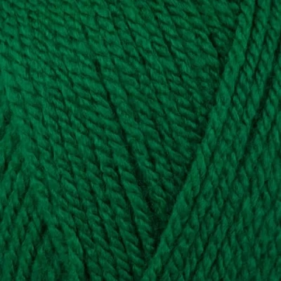 Image of Stylecraft Knitting Yarn/Wool 100g Ball for Knit &amp; Crochet, Aran 1116 Green