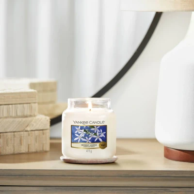 Image of Yankee Candle Medium Midnight Jasmine 13 cm / ø 11