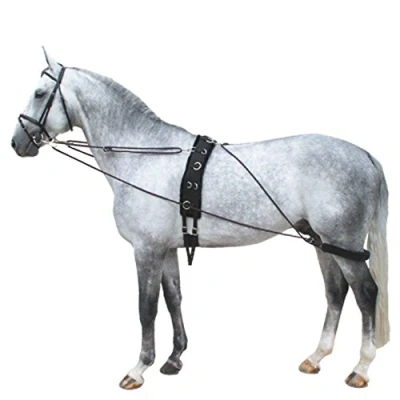 Image of Premiere Lunging reins Pessoa One Size Black