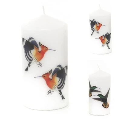Image of 14cm Birds of Paradise Pillar Candle Ivory White Unscented Church Decorative Candles Design Varies One Supplied