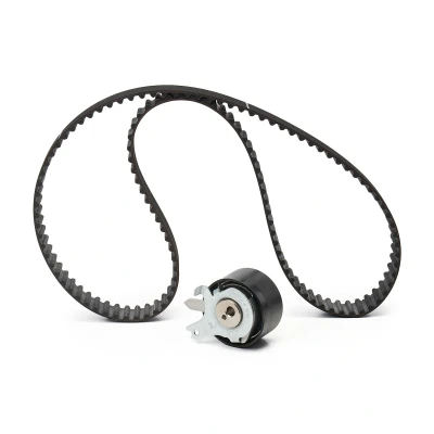 Image of 4159904501, 6079900000, 6089900800, A6079900000, A6089900800 Timing belt kit SKF VKMA 06134 123 with rounded tooth profile RENAULT: CLIO 2