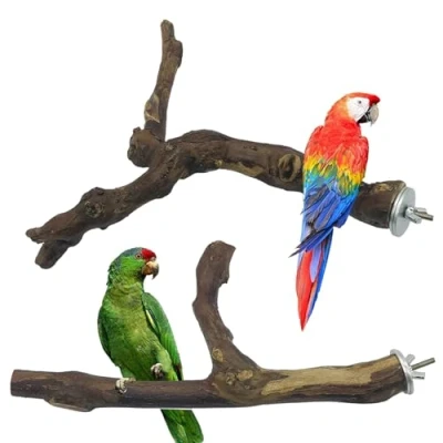 Image of Allazone 2 PCS Natural Grape Stick Fork Bird Perch Standing Chewing Toys Grapevine Cage for Parrot Cages Toy Cockatiels, Parakeets, Finches