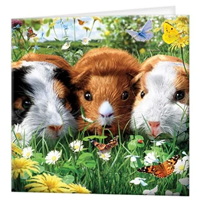 Image of 3D LiveLife Greeting Card Guinea Pigs from Deluxebase. Lenticular Blank Cards with Envelopes. Pig All Occasion featuring Original Artwork by David Penfound.