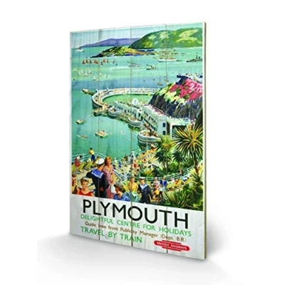 Image of Pyramid International Plymouth 2 Wood Print, Multi Colour, 40 x 59 1.3 cm