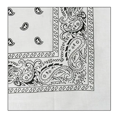 Image of SpirWoRchlan Bandanas, Paisley Bandanas Multifunction Colored Cycling Headband Neckerchief Handkerchief for Men Women Hip Hop Sporting White