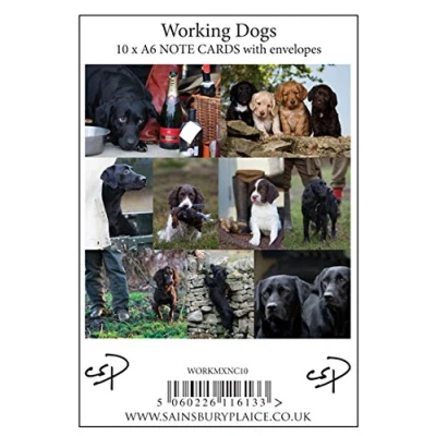 Image of 10 Working Dog Notecards with envelopes by Charles Sainsbury Plaice.