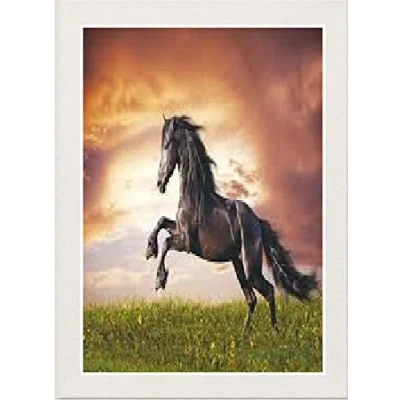 Image of White Panoramic Picture Frame Photo Poster Glass Real Wood 750mm x 500mm