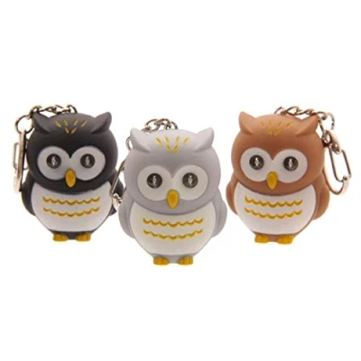 Image of Hooting Owl LED Torch Keyring, Fun Cute Key Chain with Light, Funny Novelty Sound for Bags And Purses, Kids Girls Women lovely Decoration (Random color)