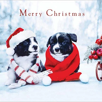 Image of Pack of 5 Cosy Nights Charity Christmas Cards Supporting Multiple Charities 457487