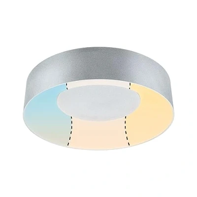 Image of Paulmann HomeSpa Casca ceiling lamp Ø30cm aluminium