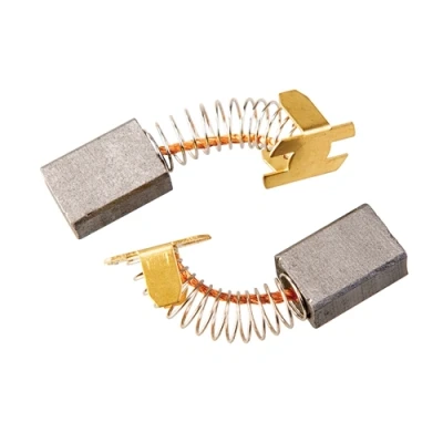 Image of Triton Carbon Brush Assembly 2pk T41200BS