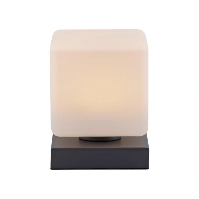 Image of Paul Neuhaus LED table lamp Dadoa, anthracite, glass, dimmable