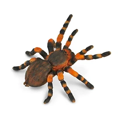 Image of CollectA Mexican Redknee Tarantula