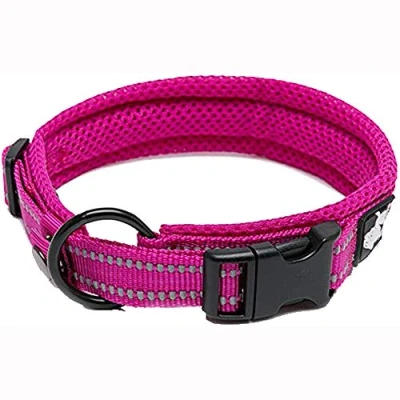 Image of Truelove Dog Training Collar TLC5011 Reflective Premium Buckle Nylon Webbing Pet Collars,High Grade No Choke Basic Collars Now Available (M, Fushcia)