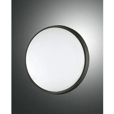 Image of Olly LED Outdoor Surface Mounted Downlight Black Glass, IP54