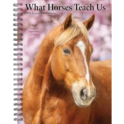 Image of What Horses Teach Us A5 Diary 2026