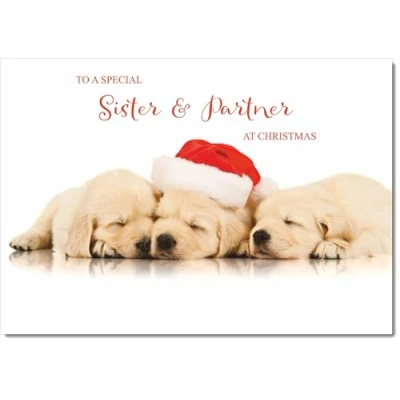 Image of doodlecards Sister and Partner Christmas Card Puppies with Santa Hat Medium Size for &amp; Plain Envelope