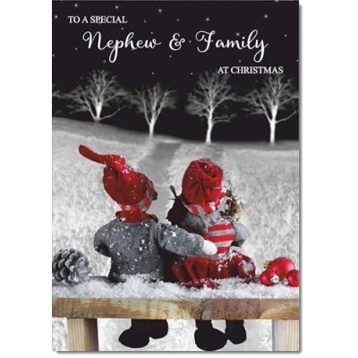 Image of doodlecards Nephew and Family Christmas Card Couple at Night Medium Size for &amp; with Plain Envelope