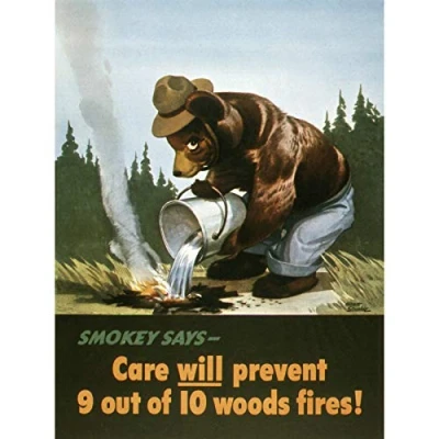 Image of War WWII USA Smokey Bear Prevent Forest Fires Advert Large Wall Art Poster Print Thick Paper 18X24 Inch