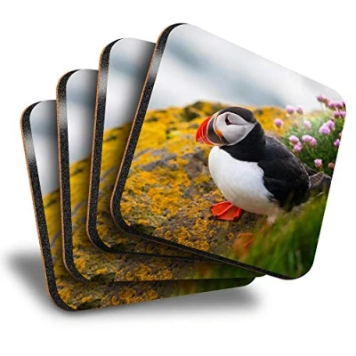 Image of Destination Vinyl ltd Great Coasters (Set of 4) Square Atlantic Puffin Bird Drink Glossy Coasters/Tabletop Protection for Any Table Type #21164