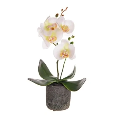 Image of CB 32cm Artificial Potted Cream Orchid Decorative Flower Gifts