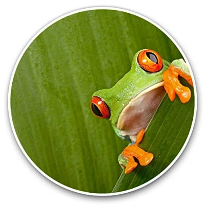 Image of Vinyl Stickers (Set of 2) 7.5cm Green Frog Nature Frogs #3682