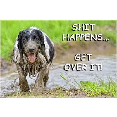 Image of Sprocker Springer Spaniel Dog Funny Fridge Magnet Perfect Birthday or Christmas Gift