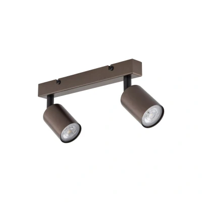 Image of TK Lighting Top downlight, adjustable, brown, 2 bulb linear