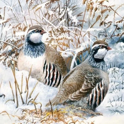 Image of Museums &amp; Galleries Pack of 8 Artistic Charity Christmas Cards (288949 XAE) from Partridge in The Snow by David Feather 1 Design