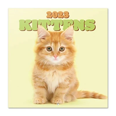 Image of Grupo Erik Cats Wall Calendar 2023 12&#039; x FSC 12 Month Planner Square Family Cat + 4 Bonus Months