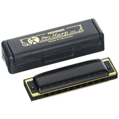 Image of HOHNER PRO HARP C
