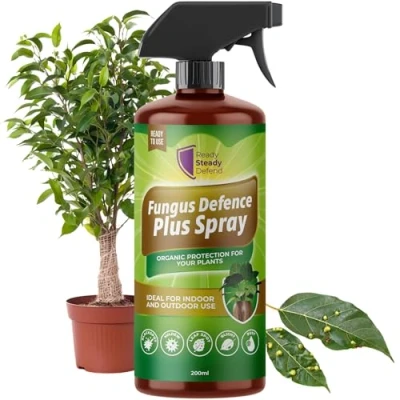 Image of Fungus Defence Plus Spray 200ml Organic Plant Protection Targets Blackspot, Mildew, Leaf Spot, Blight, Rust Ideal for Indoor &amp; Outdoor Use Safe on Fruits, Vegetables, Flowers Natural