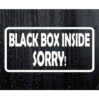 Image of Car Sticker Black Box Inside Sorry Cute Novelty Bumper Van Door Young Driver Decal Present