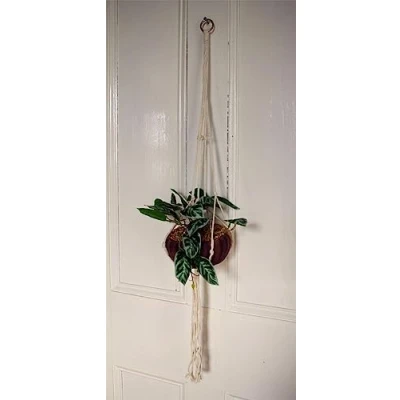 Image of 85cm Hanging Artificial Potted Pothos Plant with Planter