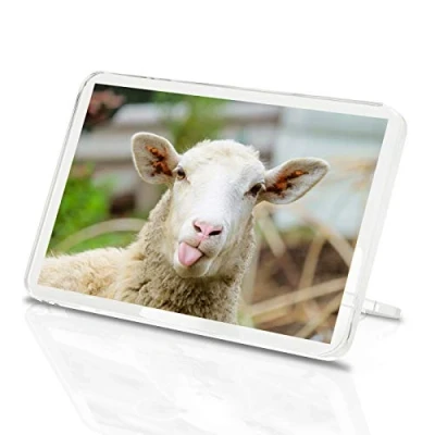 Image of Funny Sheep Classic Fridge Magnet Cheeky Lamb Farm Animal 8553
