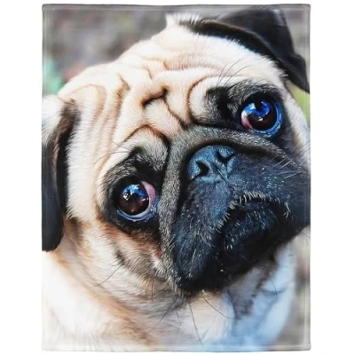 Image of YISUMEI Soft Fleece Blanket Pug Dog,125 x 200 cm Throw Suitable for Bed or Sofa