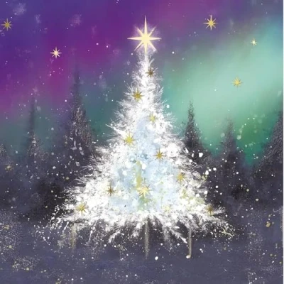 Image of GBCC Charity Christmas Cards Pack of 10 with Wintry Forest Design Eco Friendly Xmas Multipack Envelopes