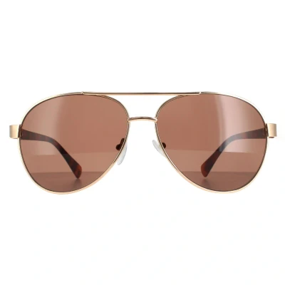 Image of Calvin Klein Aviator Mens Gold Brown CK19316S Metal (archived) One Size