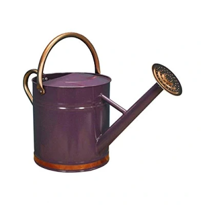 Image of Purple Heather &amp; Copper Metal Watering Can with Rose (9 Litre)