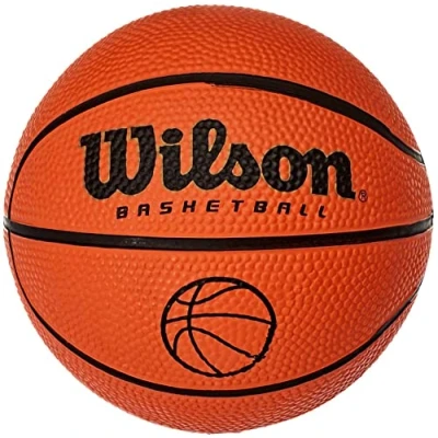 Image of Wilson Mic Basketball ball