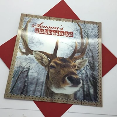 Image of Me to You STAG Christmas Card 15/16