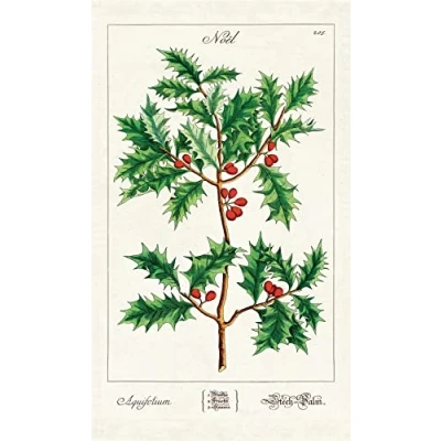 Image of Cavallini Papers &amp; Co. Tea Towel, Cotton, Multicolor